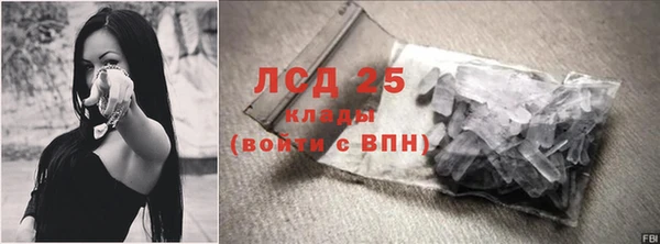бошки Ельня