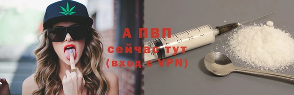 бошки Ельня