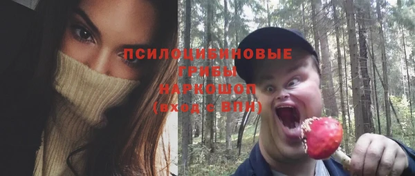 бошки Ельня