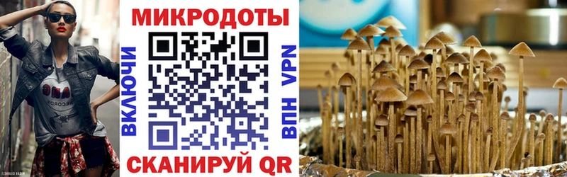 маркетплейс официальный сайт Карталы Псилоцибиновые грибы прущие грибы