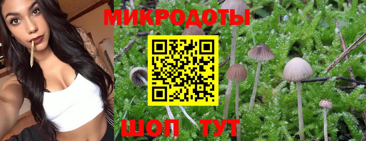 Карталы  Галлюциногенные грибы прущие грибы  Вход с VPN 